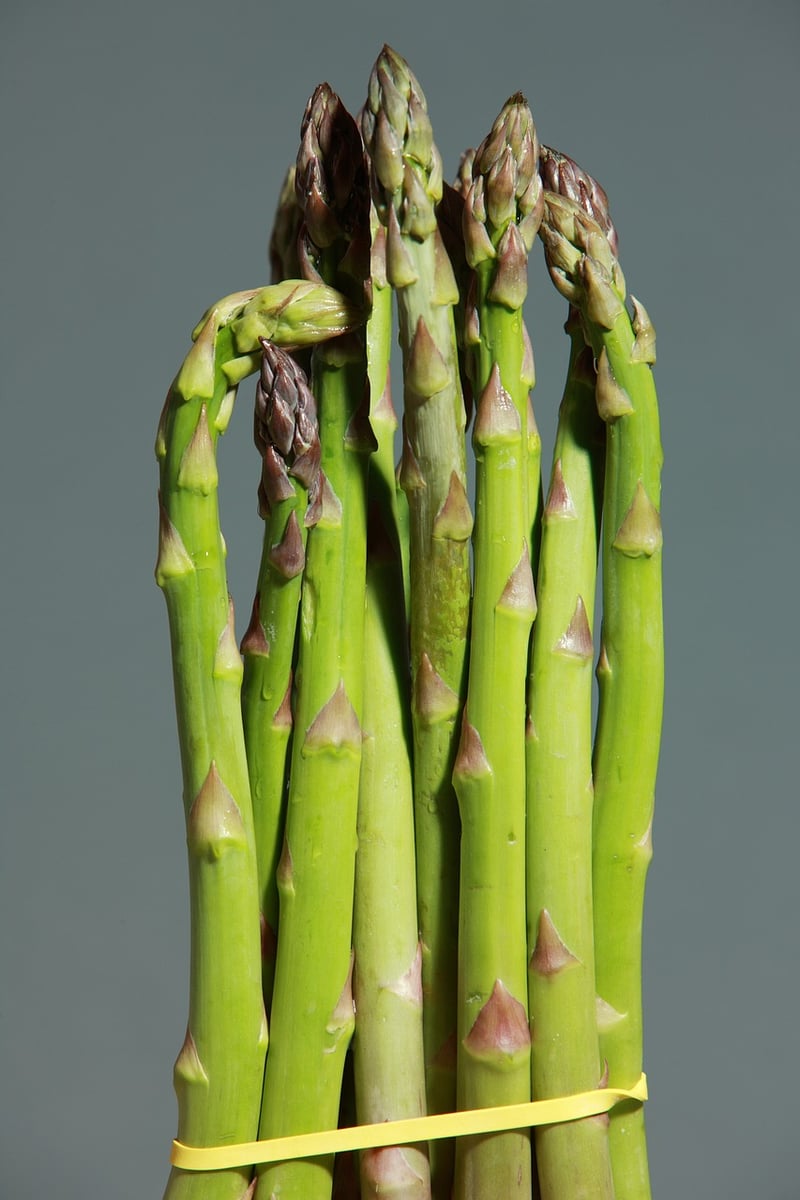 One-pot dish
